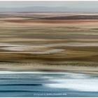 The Skeleton Coast (Abstract)