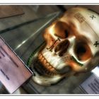 THE SKULL (( HDRI ))