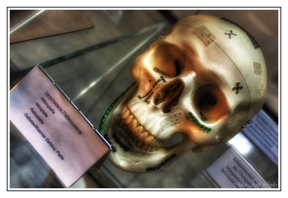 THE SKULL (( HDRI ))