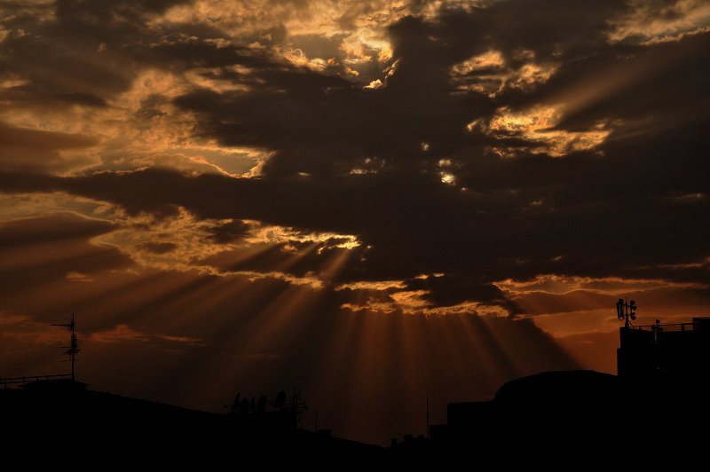 The sky, clouds and lihgt from my window...