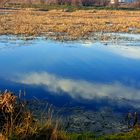 The sky in the lake