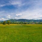 The Skyline of Bühl