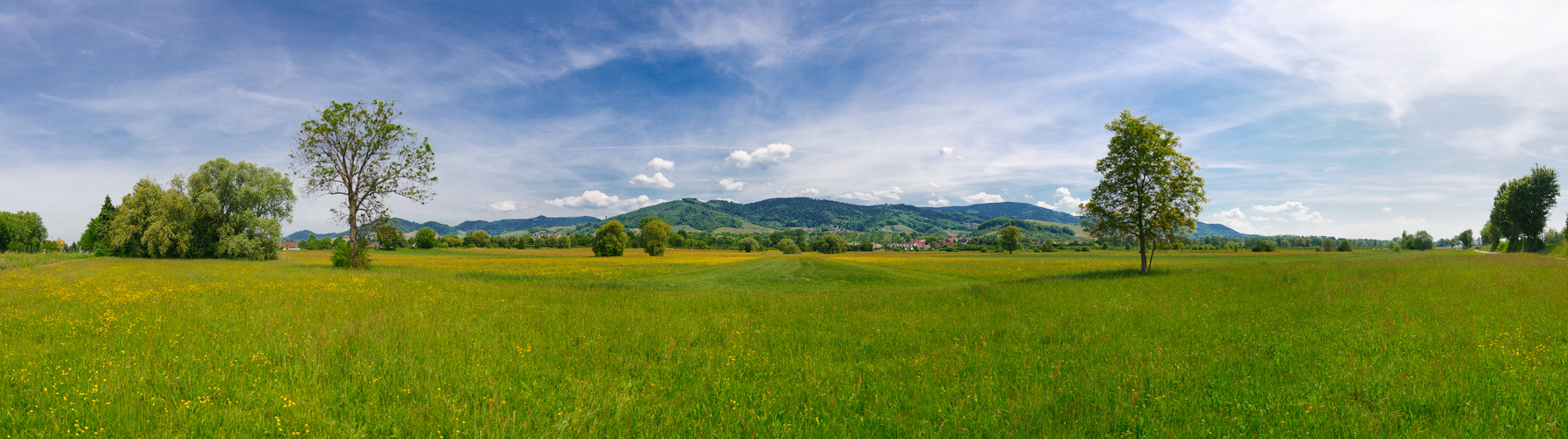 The Skyline of Bühl