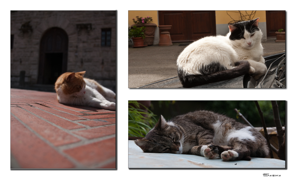 The Sleepyheads of Tuscany