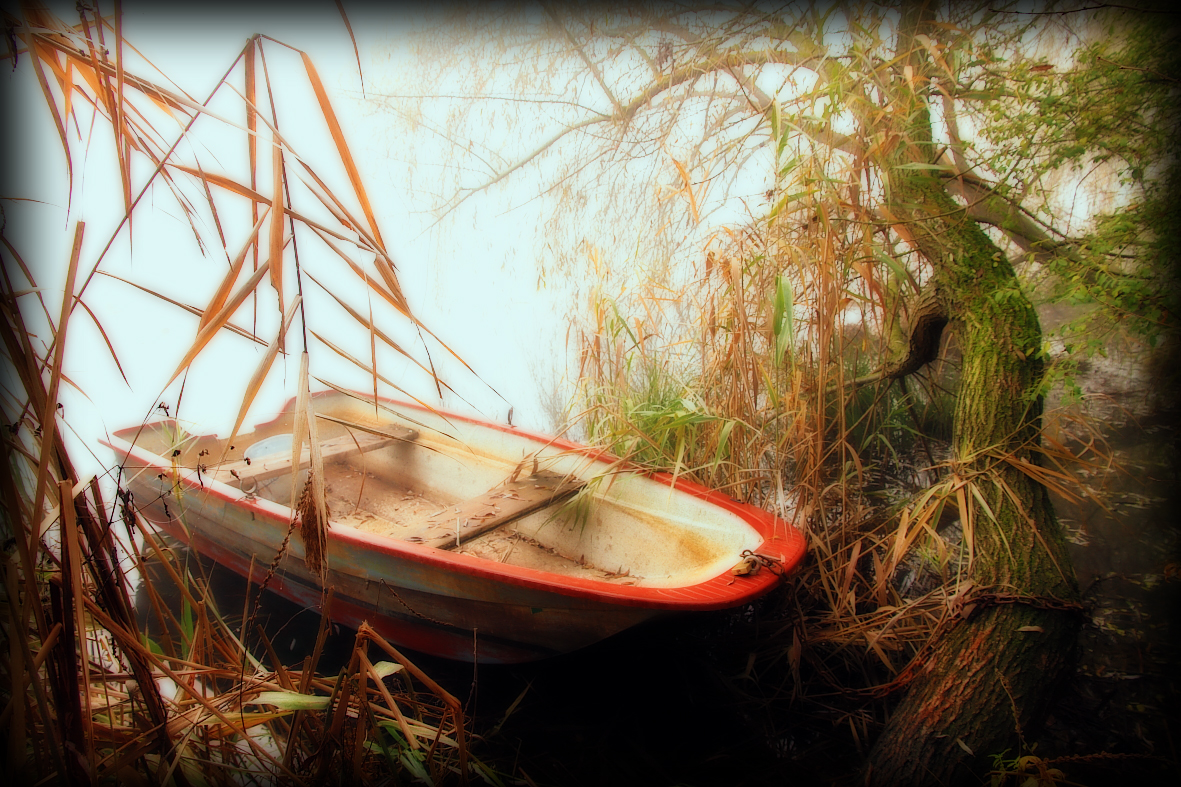 The small boat in the little lake