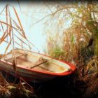 The small boat in the little lake