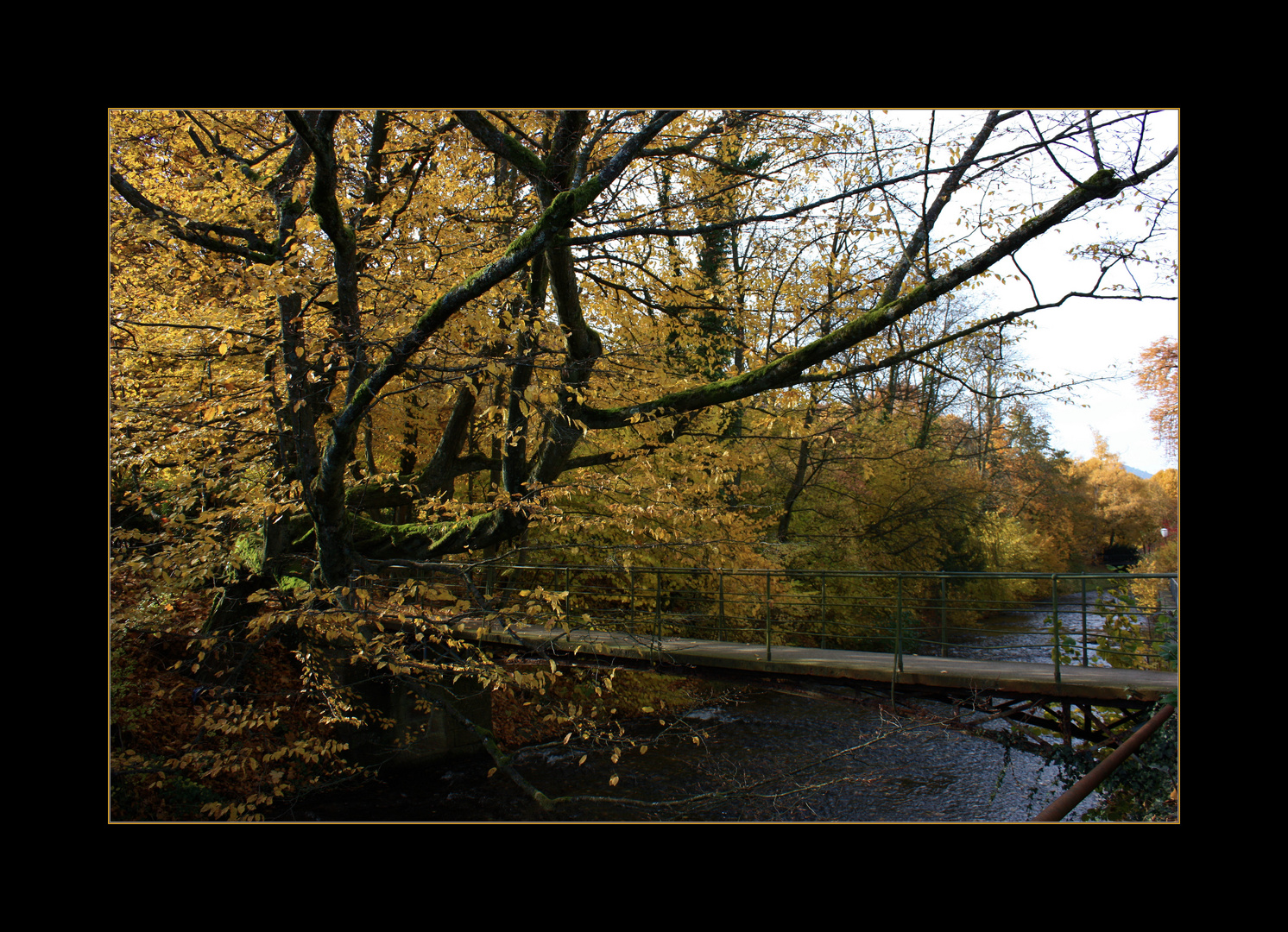 the small bridge