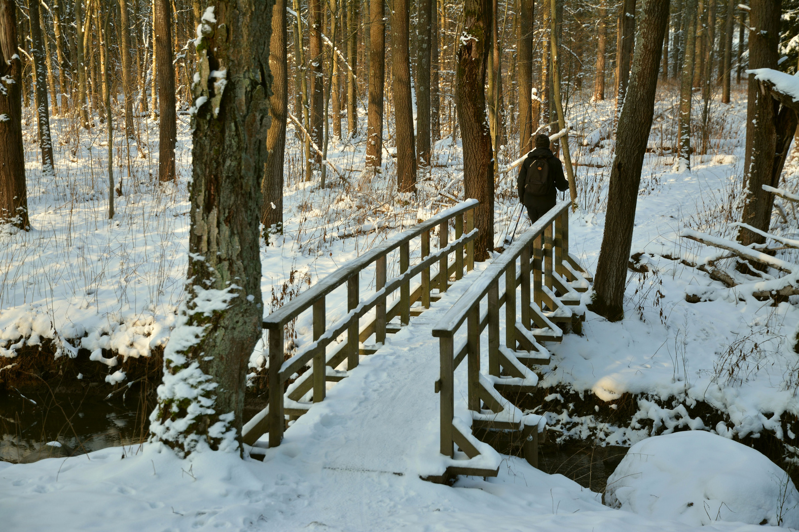 The small bridge over the brook