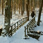 The small bridge over the brook