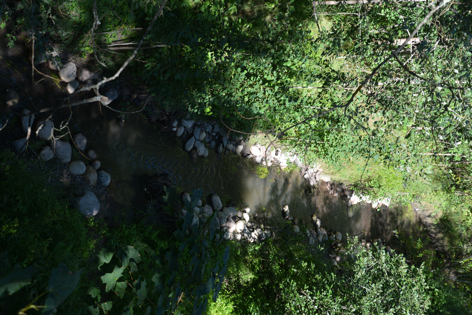 The small brook where lives trouts