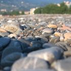 The small town shore in the black sea