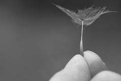 The smallest Umbrella