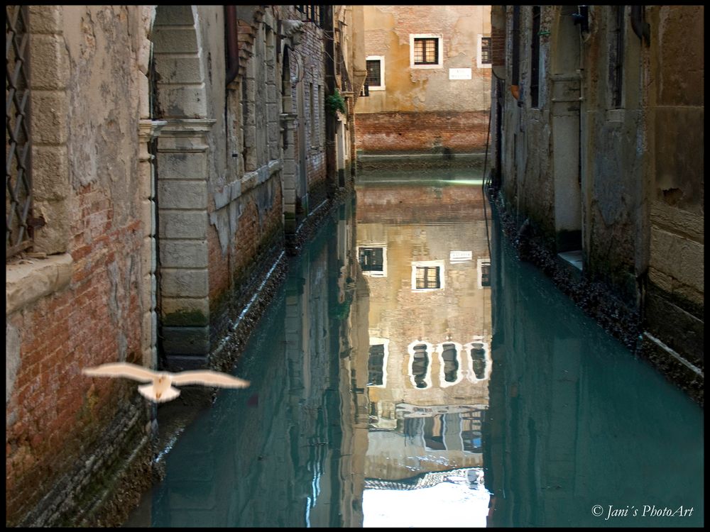 The smell of Venice 2011