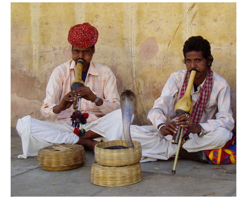 The Snake Charmers