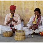 The Snake Charmers