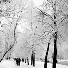 The snow covered streets of Ufa