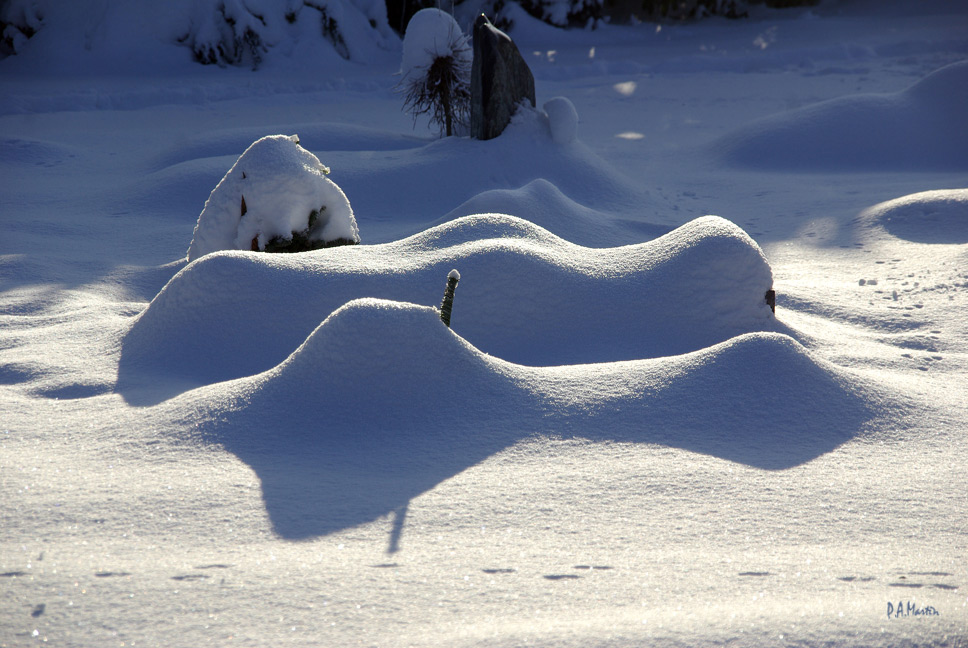 The Snows of Kilimanjaro