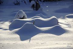 The Snows of Kilimanjaro