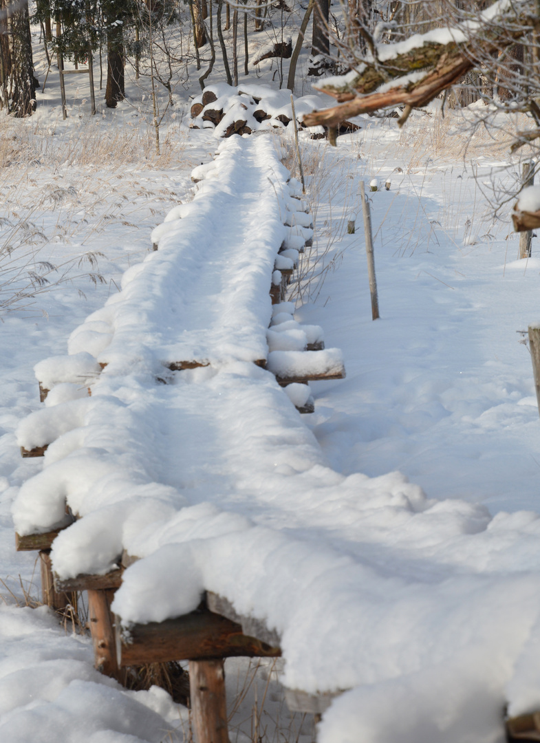 The snowy way to Pukkisaari