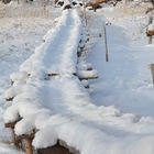 The snowy way to Pukkisaari