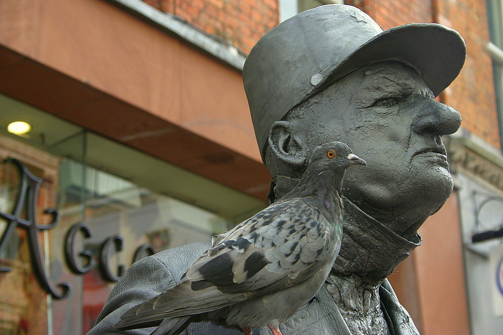The soldier and the dove