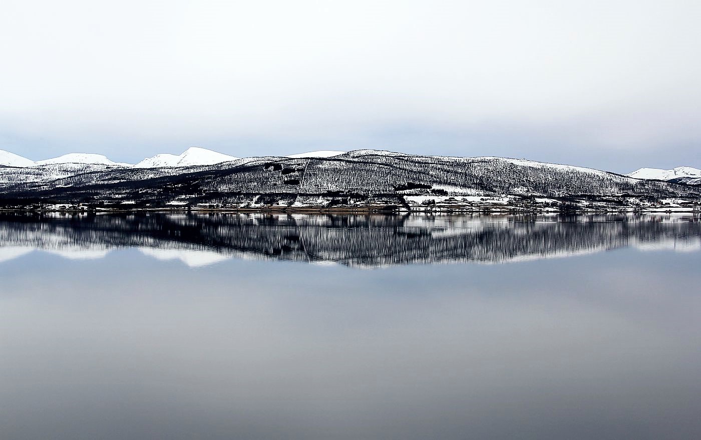 The Sound of Silence