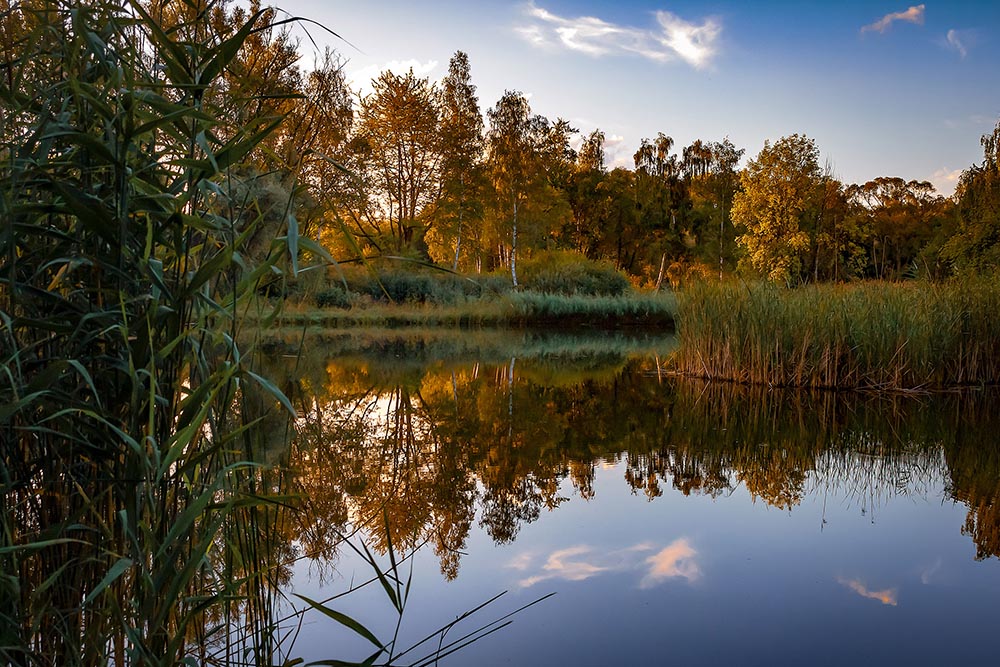 The sound of silence