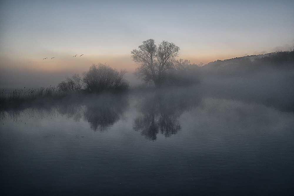 The Sound of Silence