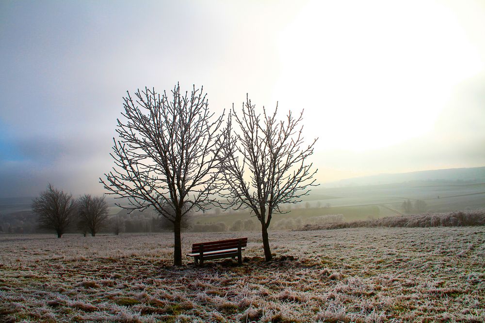 The sound of silence