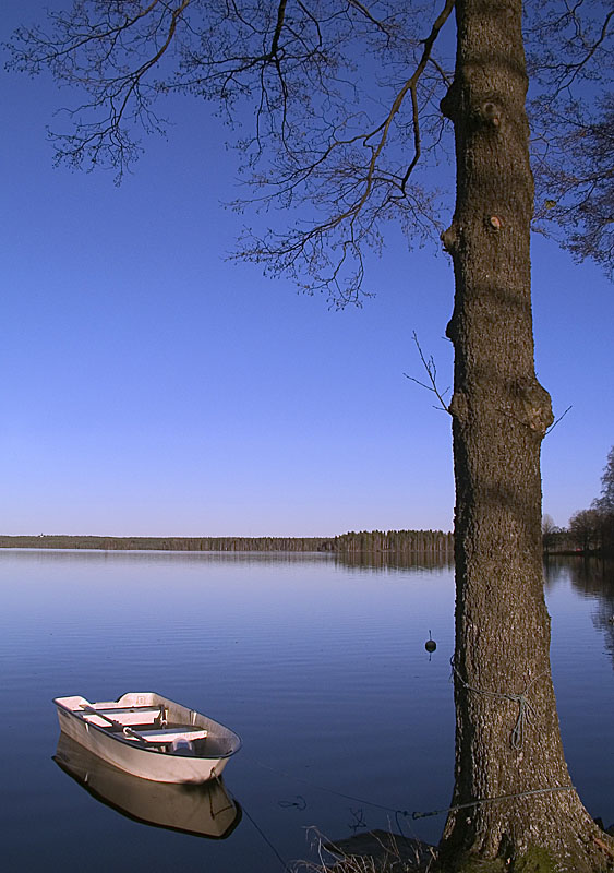 The sound of silence