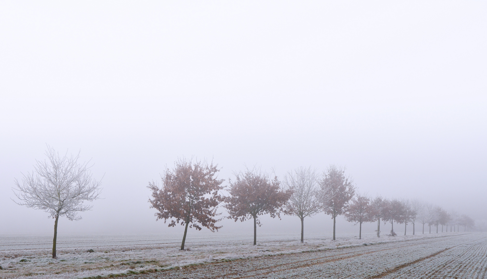 "The Sound of Silence..."