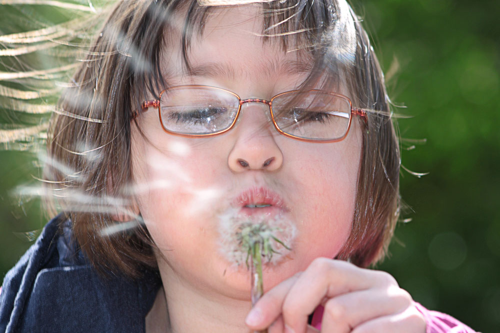 the sound of the dandelion clock.