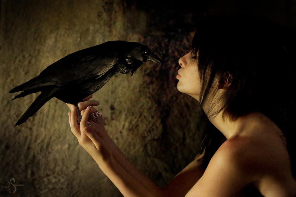 The spell of the raven...