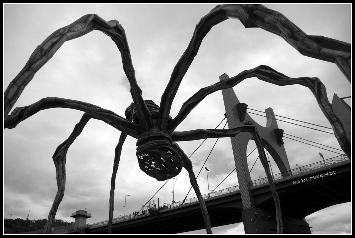 The Spider of Guggenheim