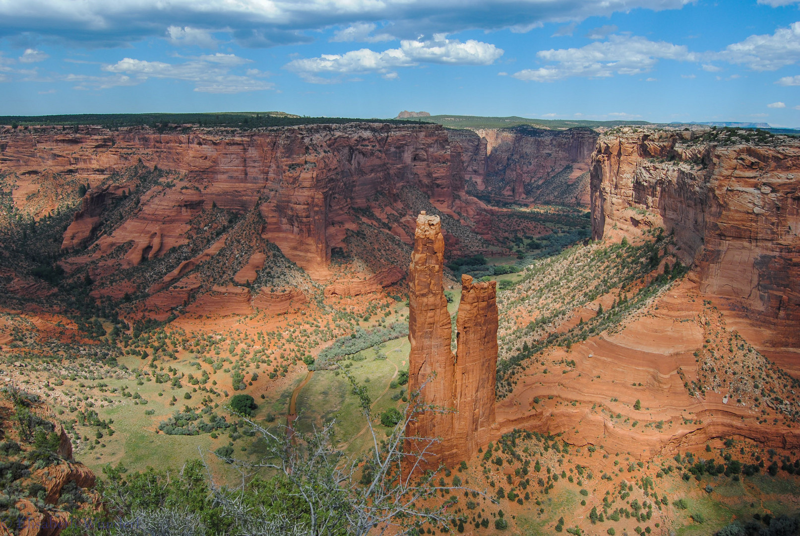 The Spider Rock 