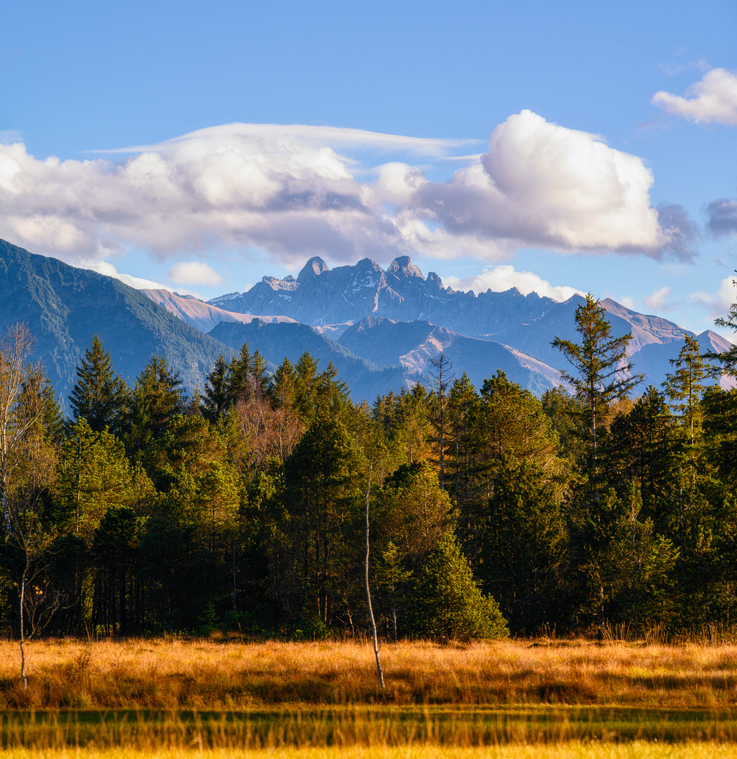 The Spiky Mountains