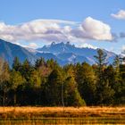 The Spiky Mountains