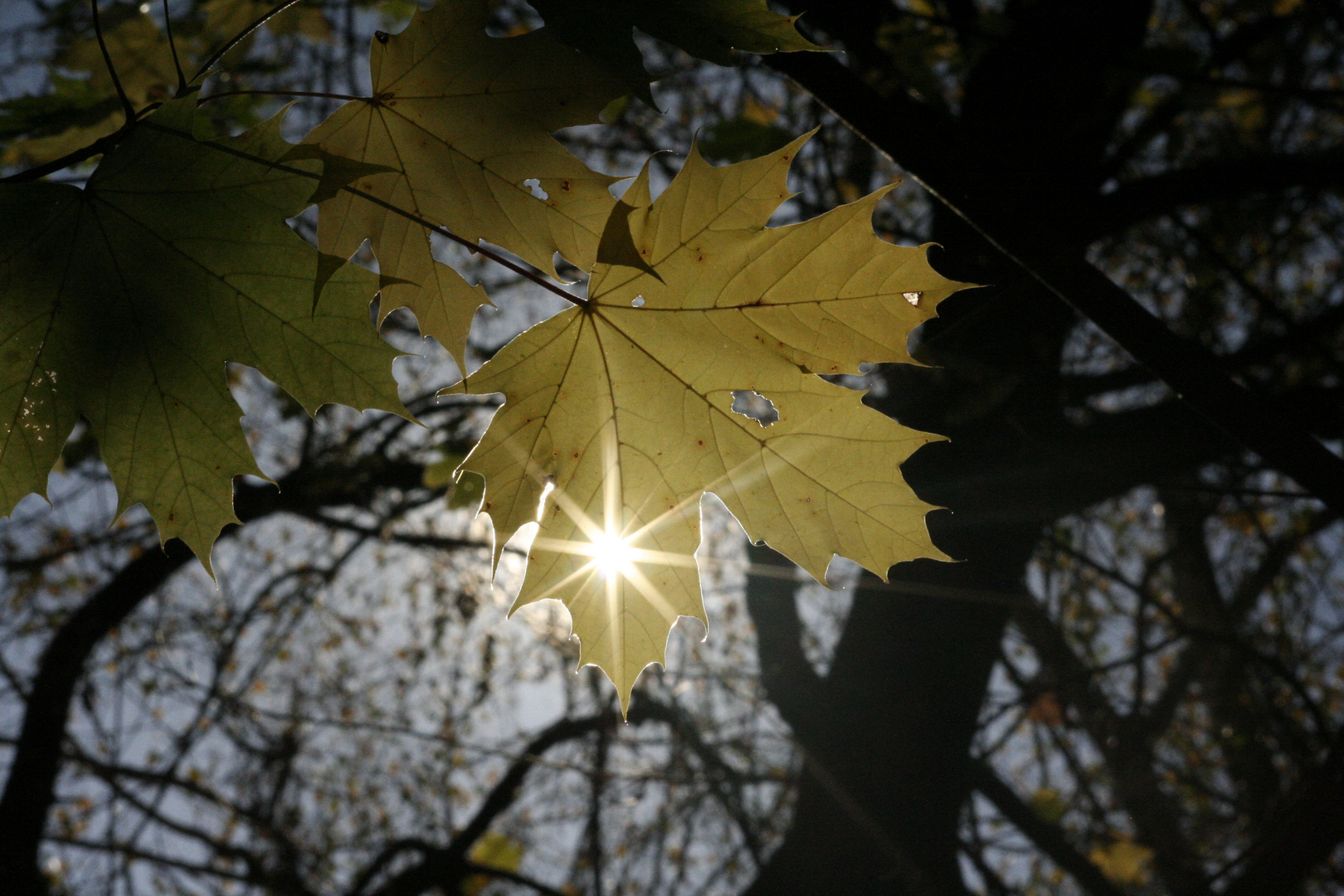 The Spirit of Autumn