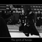 The spirit of kendo