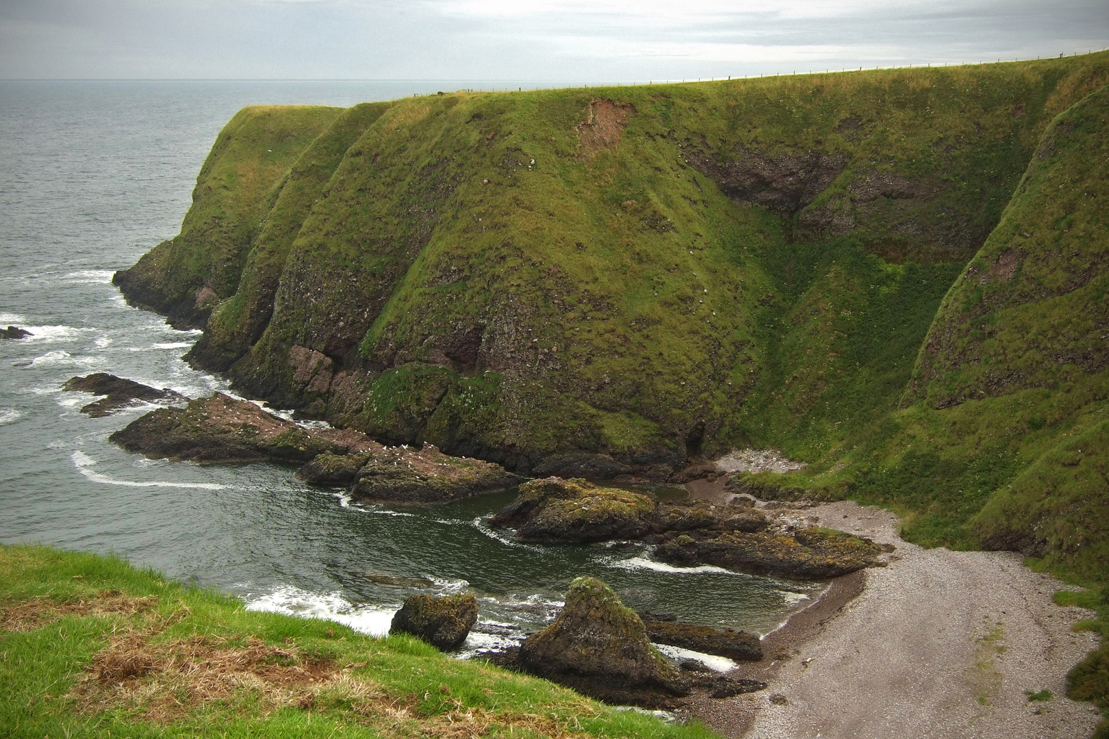 The spirit of Scotland XXV. A seagull paradise