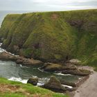 The spirit of Scotland XXV. A seagull paradise