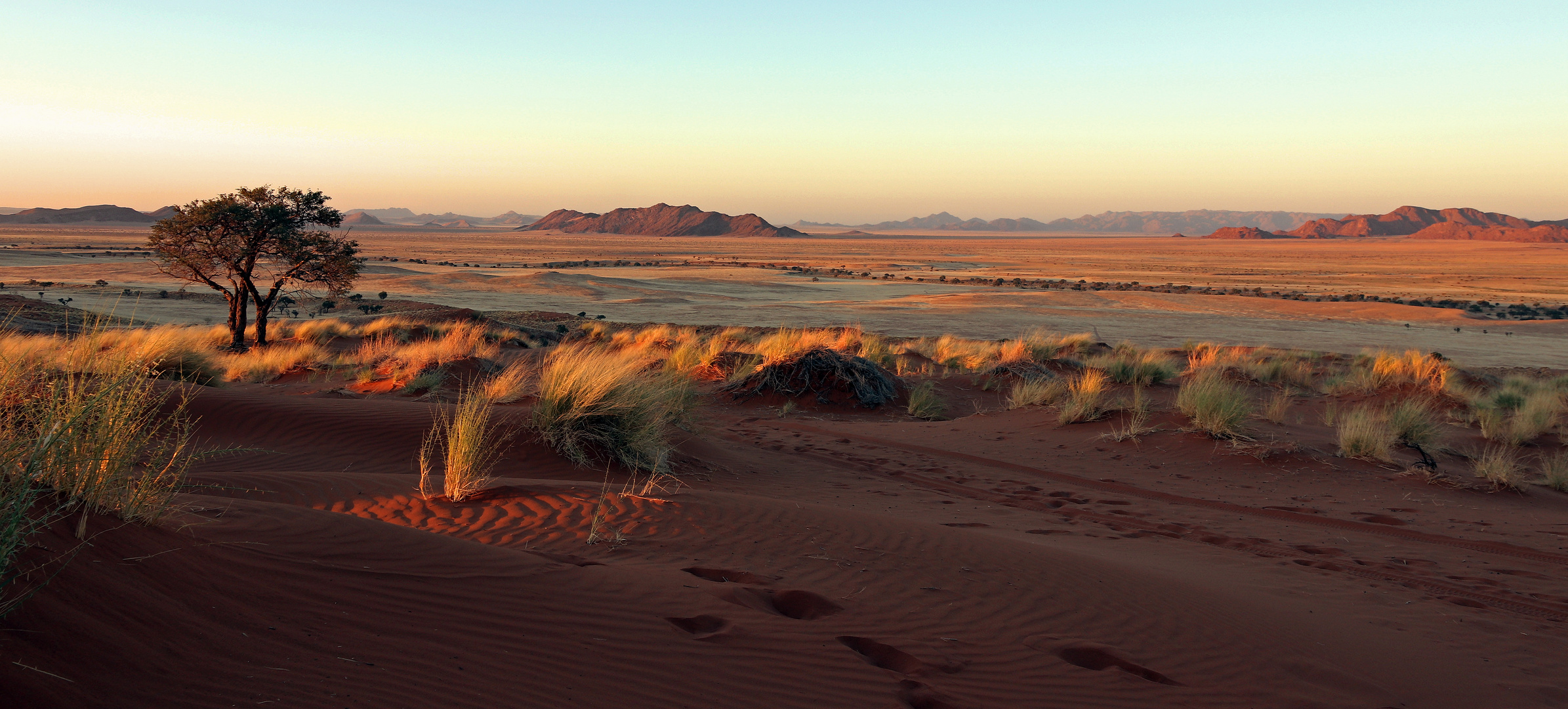 The spirit of the Namib Desert 