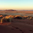 The spirit of the Namib Desert 