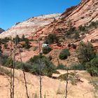 The Spirit of Zion NP