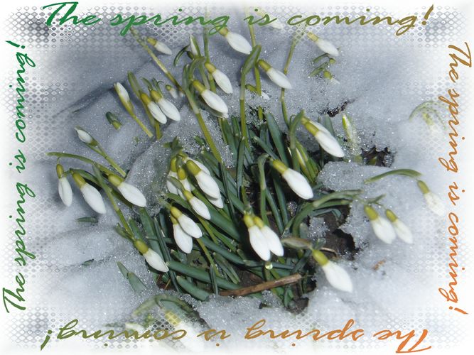 The spring is coming!