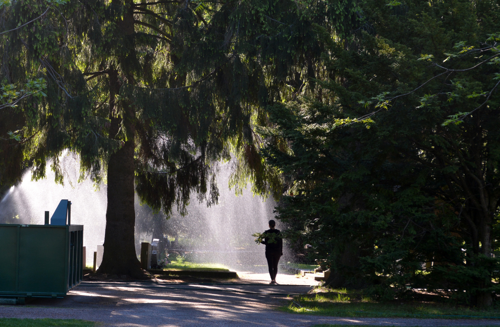 The springlingsystem on Malmi cemetery