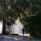 The springlingsystem on Malmi cemetery