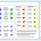 The standard model