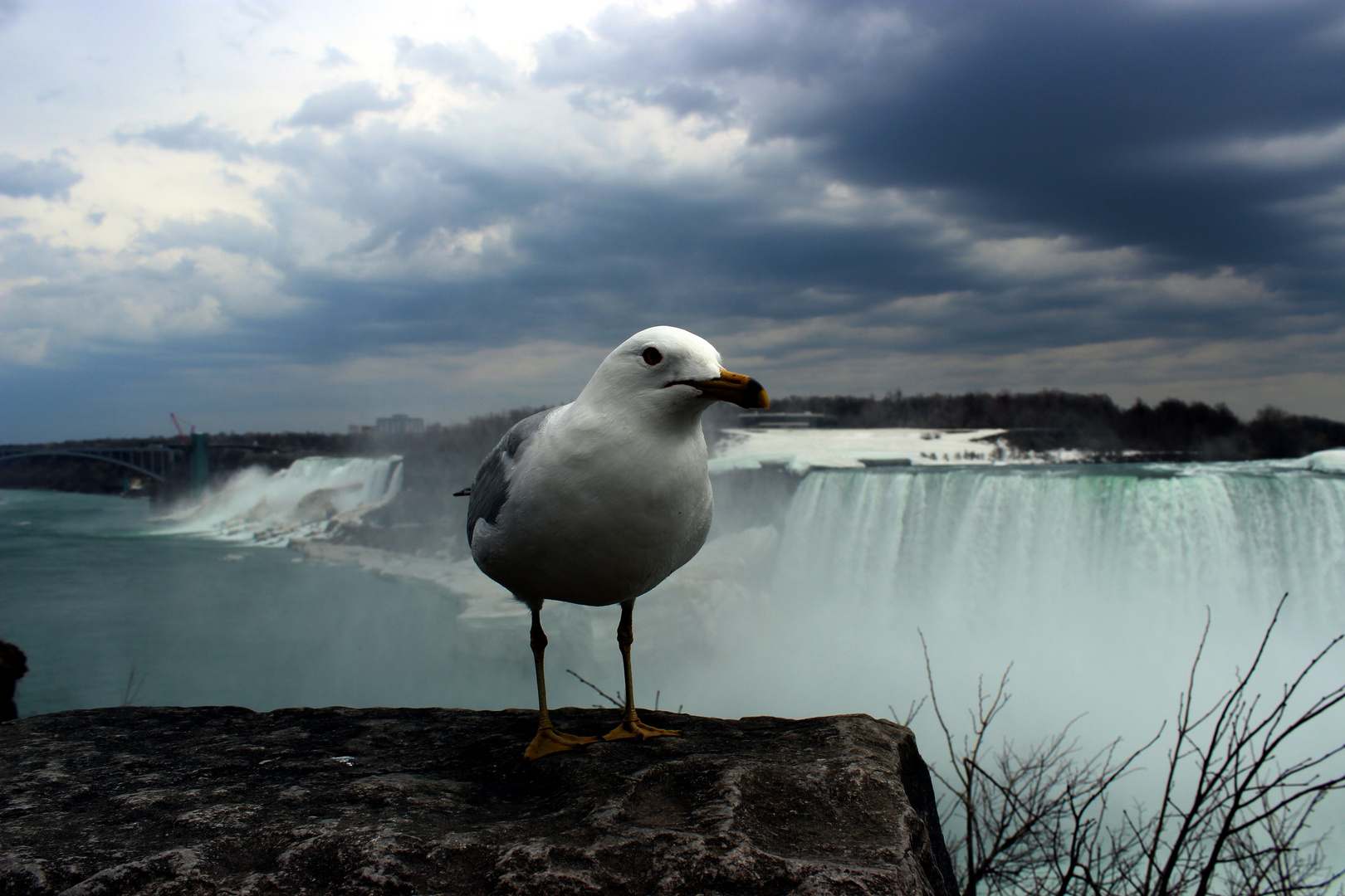 THE STAR an den Niagara Fällen