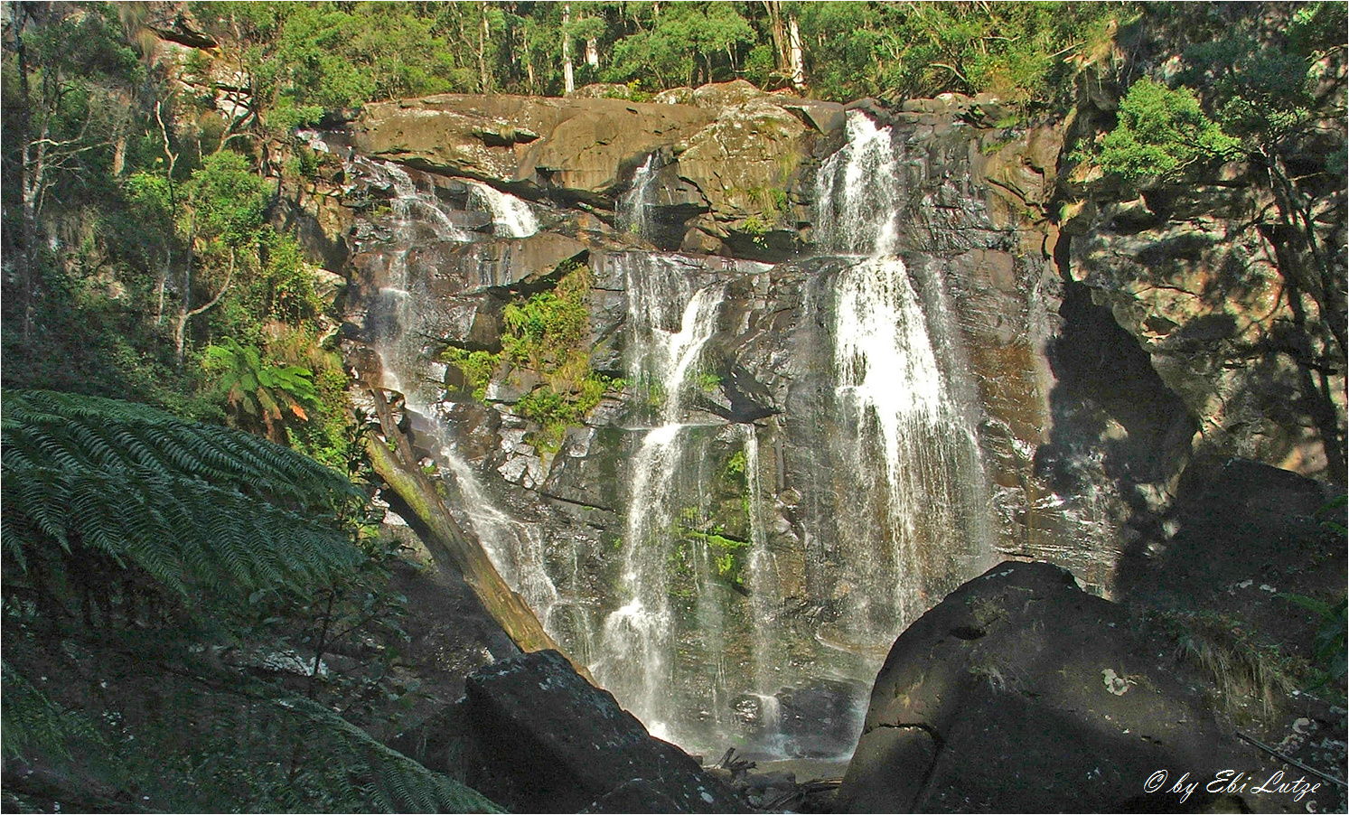 ** The Steavenson Falls ** 